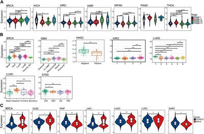 Pan-cancer and single-cell analysis reveal the prognostic value and immune response of NQO1